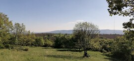 Szendehely