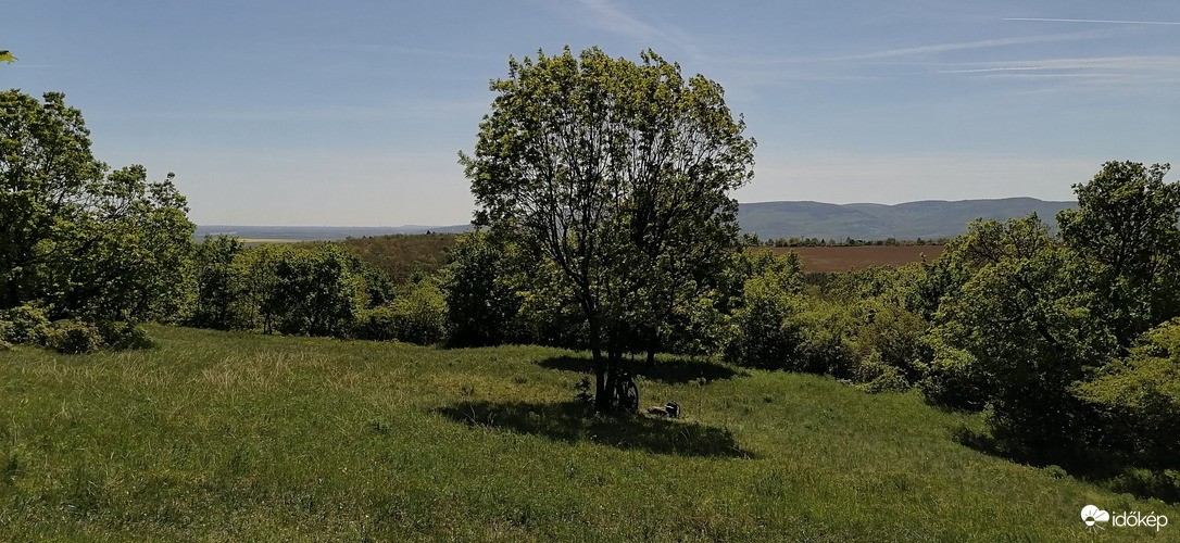 Szendehely