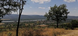 Verőce