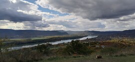 Vác-Nyulas