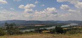 Vác-Nyulas