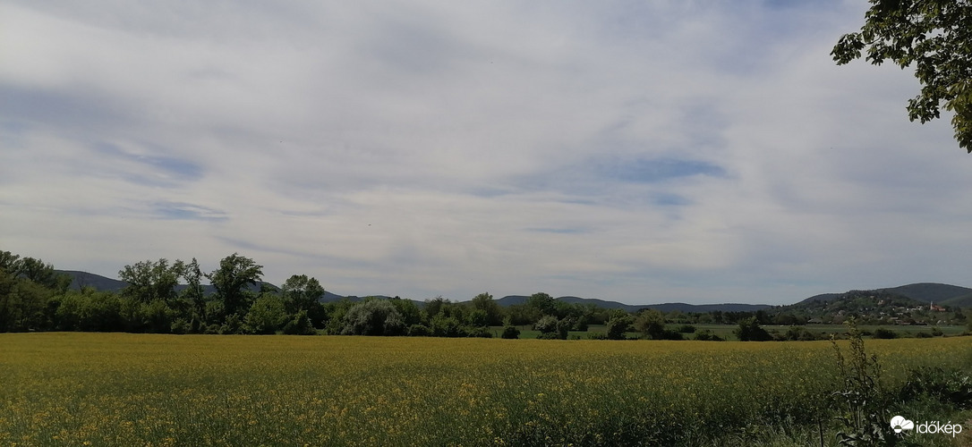 Vác-Nyulas