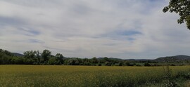 Vác-Nyulas