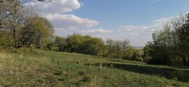 Szendehely