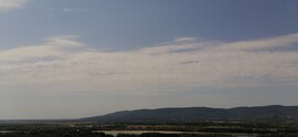 Vác-Nyulas