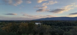 Vác-Nyulas