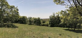 Szendehely