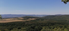 Szendehely
