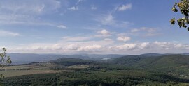 Szendehely