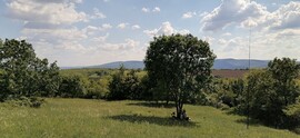 Szendehely