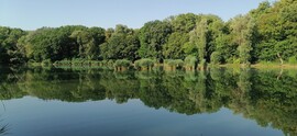 Vác