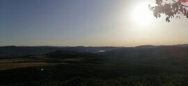 Szendehely