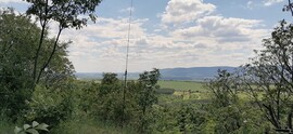 Szendehely