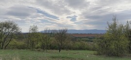 Szendehely