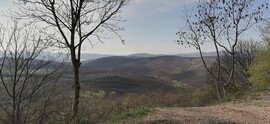 Szendehely