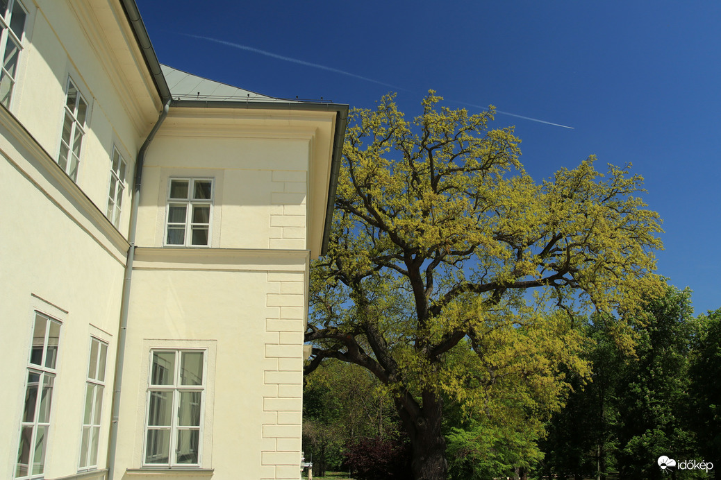 Festetics kastély 2