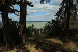 Balatonföldvár