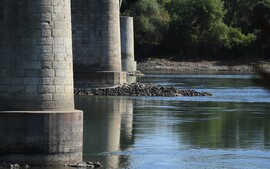 Dunaföldvár