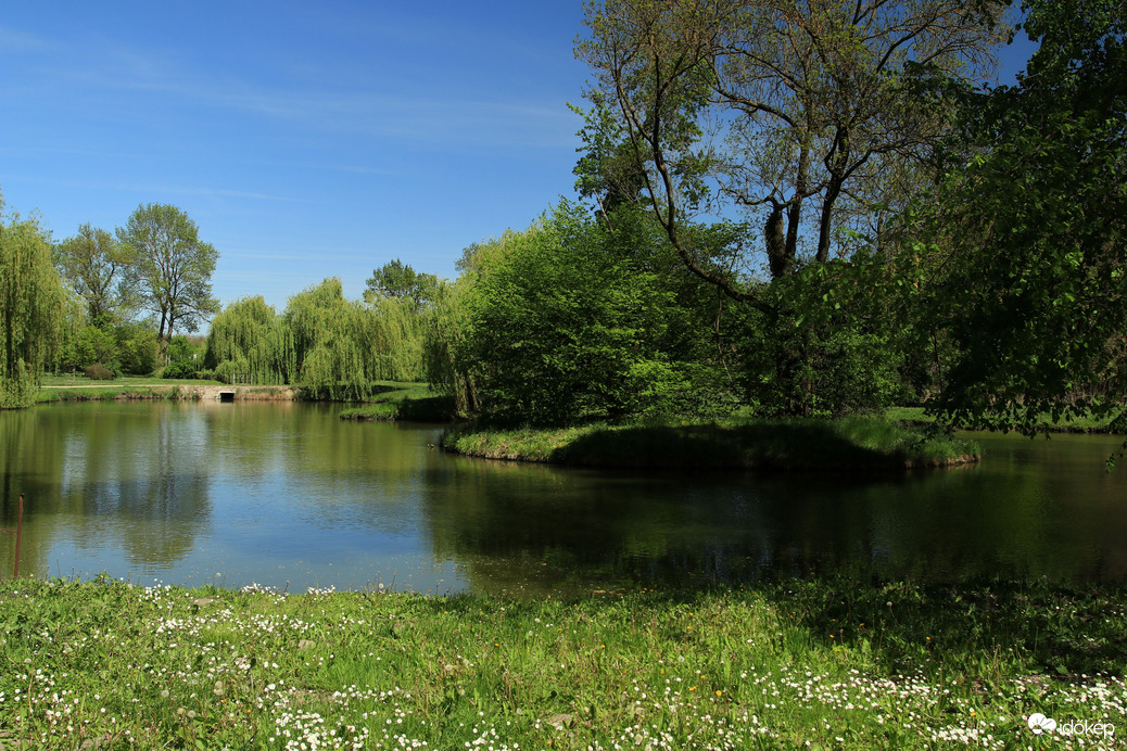 Festetics kastély 4