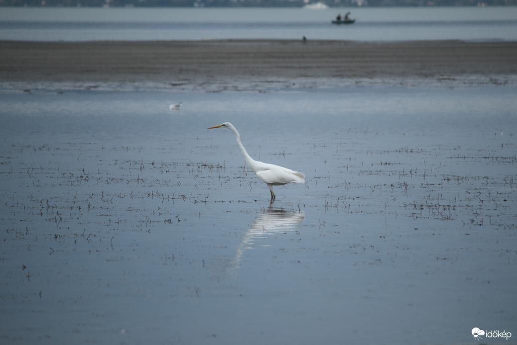Balatonfenyves