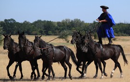 Hortobágy 