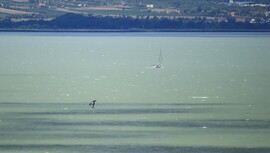 Balatonföldvár