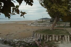 Balatonfenyves