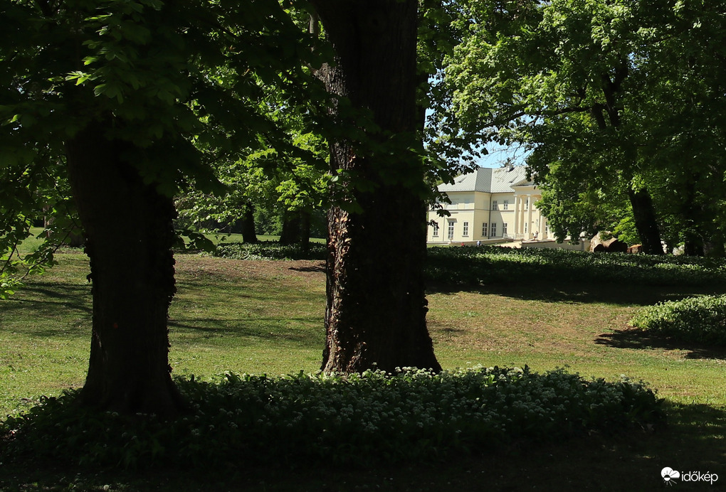 Festetics kastély 5