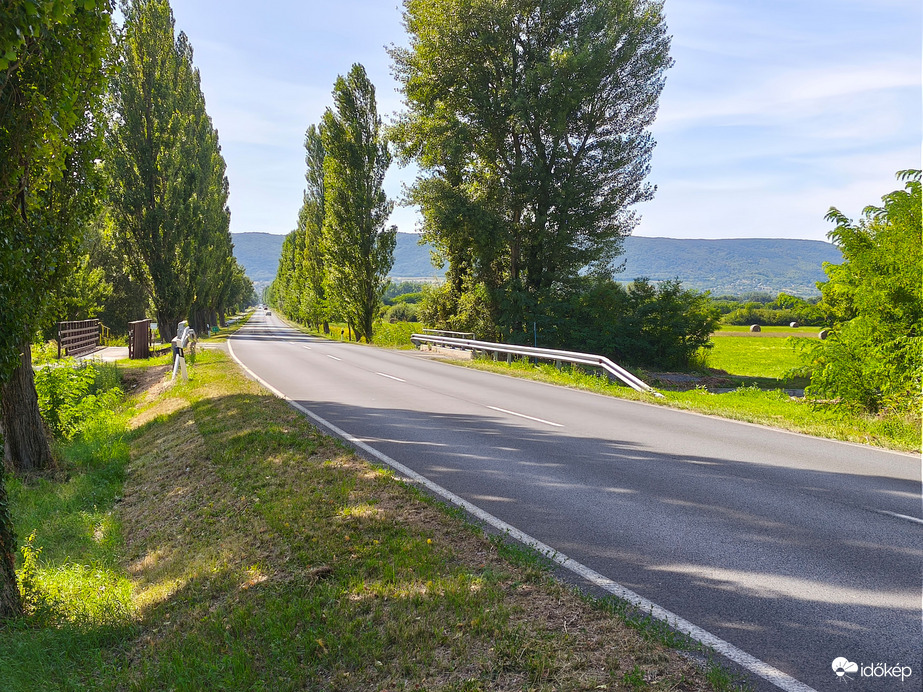A 71-es főút csodálatos jegenyefa sor a Szigliget felé mindkét irányból.