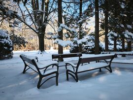 Kaposvár Szabadság park 2