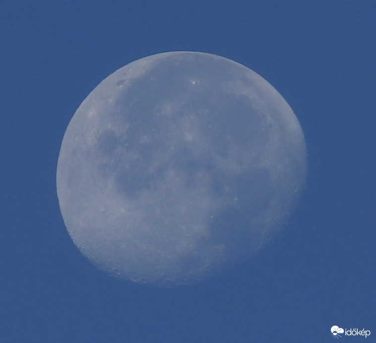 Ma reggel a kísérő már fogyatkozik.