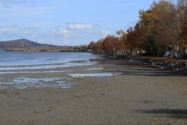 A Balatonfenyvesi szabadsrtand vízhiányban