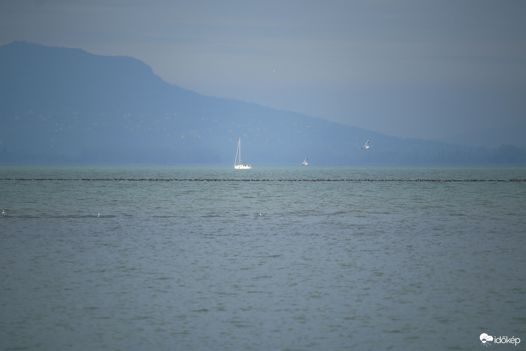 Tornasor a vízen :)