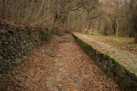 Felfelé a badacsonyi hegyre