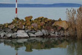 ... a tükörkép ...