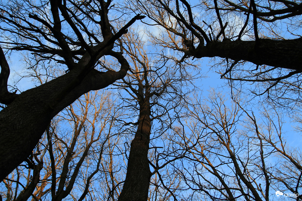 A bal oldali fa szerint minden oké. :)