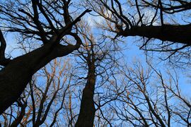 A bal oldali fa szerint minden oké. :)