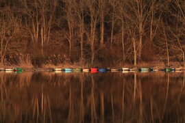 Lassan ébredezik a természet, a horgászok már leparkoltak