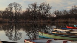 ... a tükörkép ...