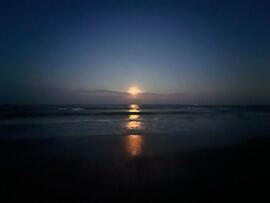 Mamaia-Sat