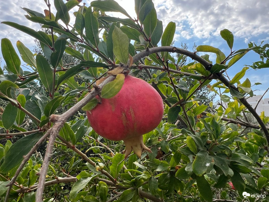 Τούρλος