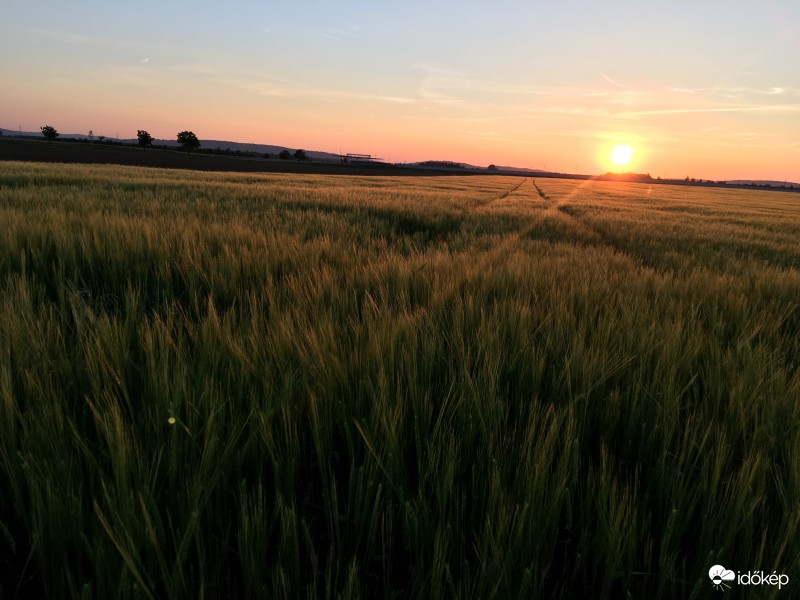 Naplemente Seyring határában Alsó-Ausztria, Weinviertel
