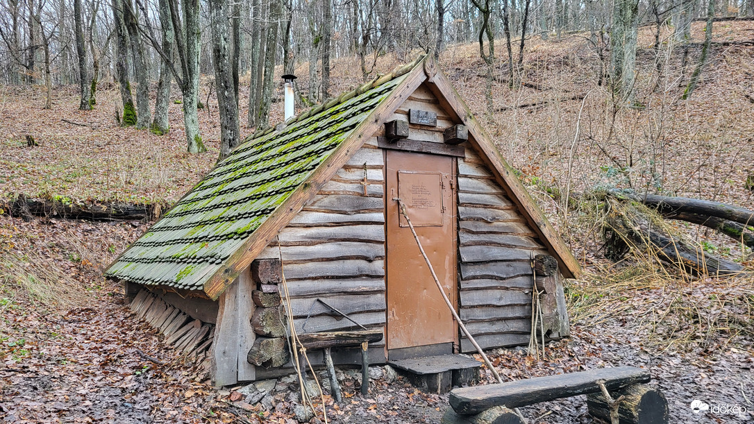 Erdei lak
