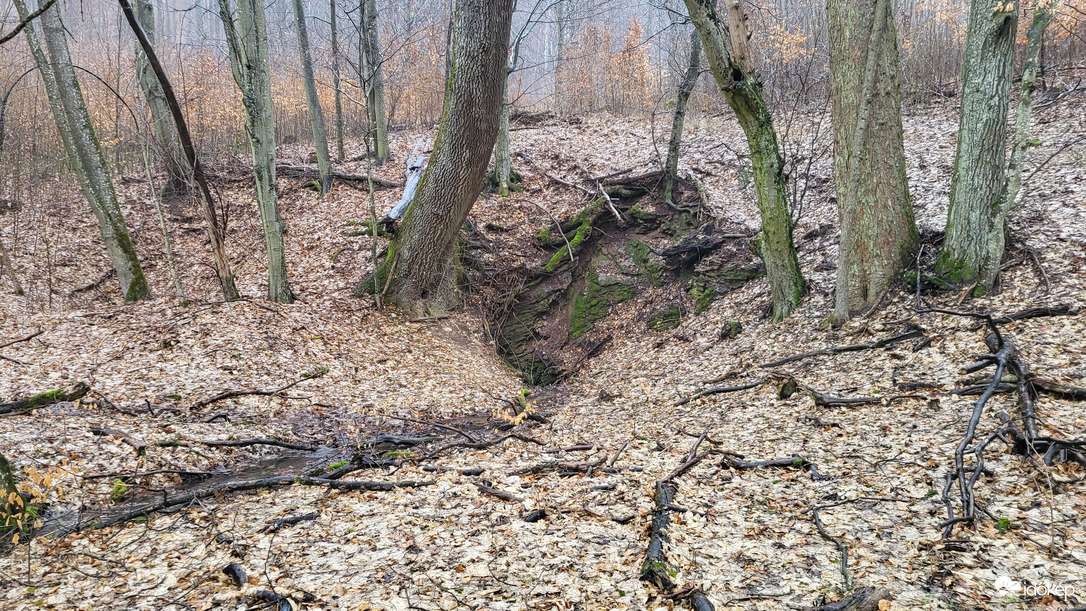 Klasszikus víznyelő-barlang