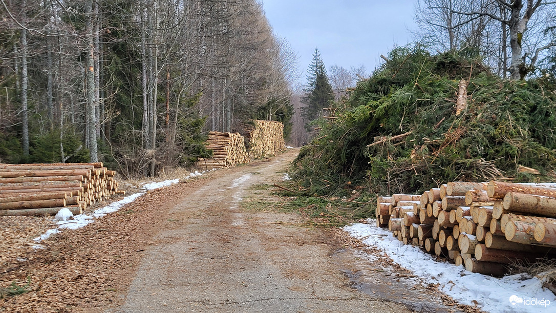 Természetvédelmi terület (Nagy mező, Bükk-fennsík)