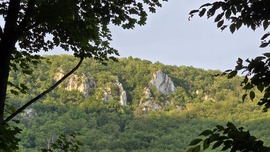 Panoráma