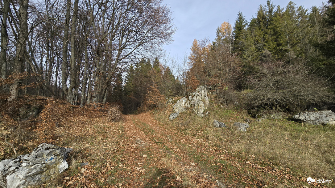 Valahol a Bükk-fennsíkon