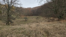 Töbörről-töbörre