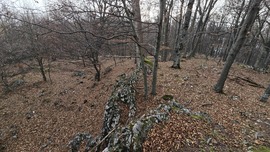 Kettős-bérc északi csúcs (tszf 958m) sziklája