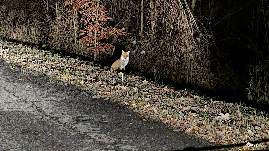 Nem mindenki tud aludni